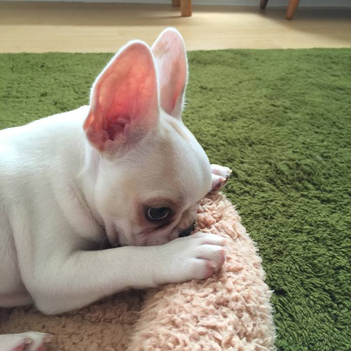 Ddcf073f a881 4eb9 b710 28d3bb4ca994