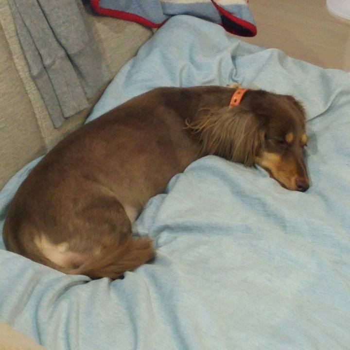 Ddcf0a1f e3e5 4524 9394 4f536a9c5571