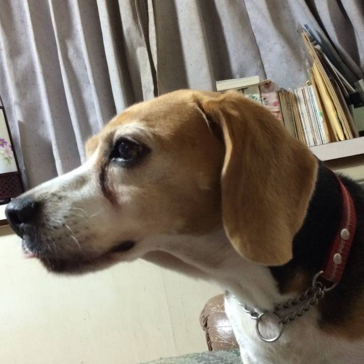 Ddcff050 5f74 4330 a2ab 3a51411f63fa