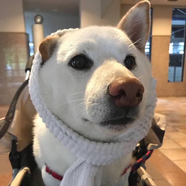 Ddd090ac e5c3 4857 a87c d811ec997b7e