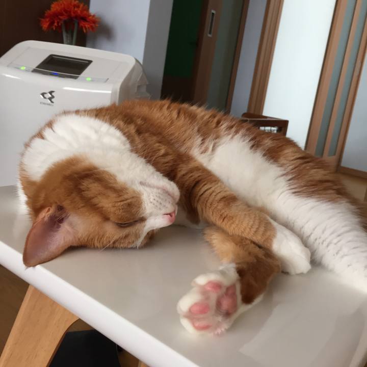 Ddd0b01f 61d3 4f62 9e53 e6ea3f5499f7