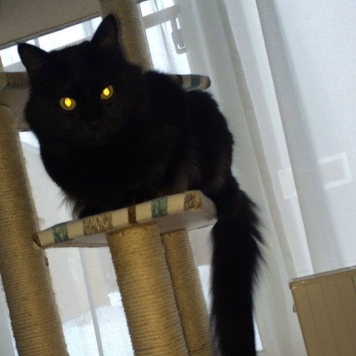 Ddd0bcda 20b3 4124 ab4c dc2d6b6e6c7d