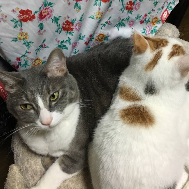 Ddd10b91 96d1 423f 96ba 356c82554b48