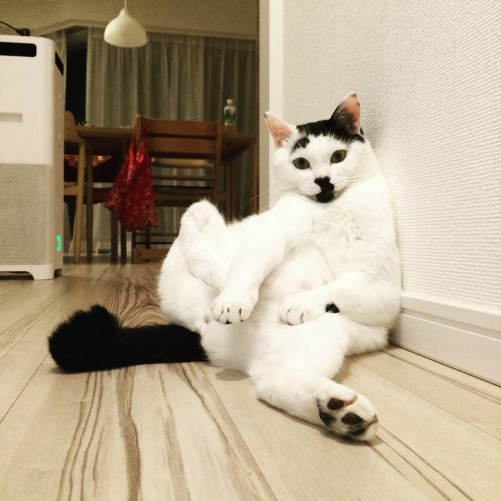 Ddd19839 1c41 4255 9cfc 4ce4c2a7c2e4