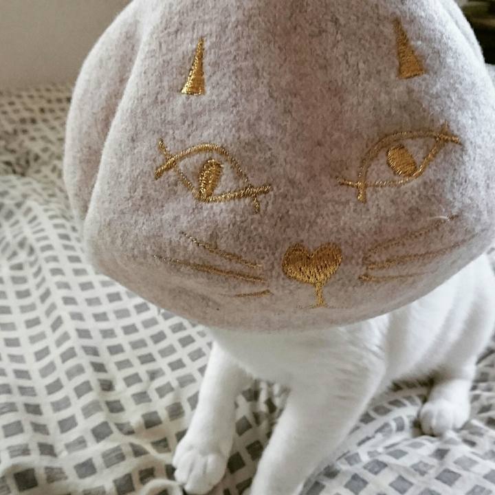 Ddd2cd59 cbe4 45fa a9c2 782fe1b2634d