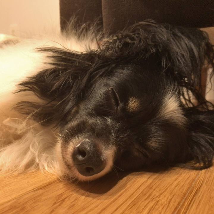 Ddd34dcf 4b48 4a08 91e9 cdfcd3a7c991