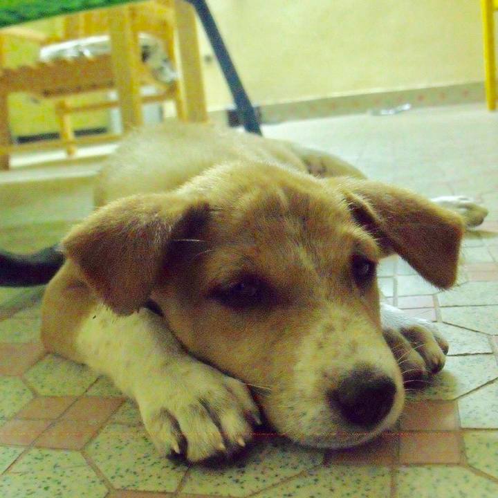 Ddd34e4b 4a2a 449b 8d36 134fdd39f59c