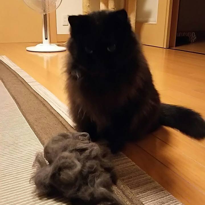 Ddd3a1df cf56 4278 8fd7 5f0f6fdf4637