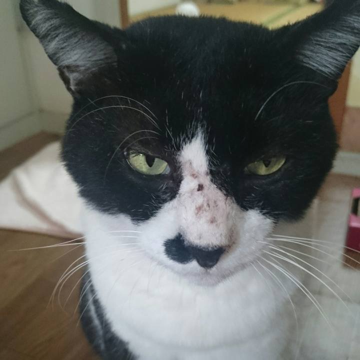 Ddd3b31f af6f 42eb 90de 310952157dec