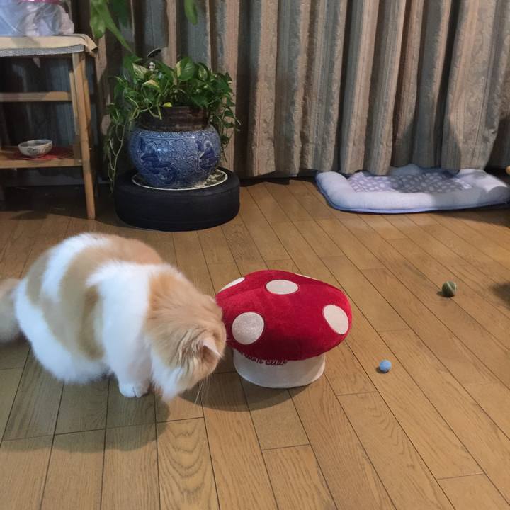 Ddd3cfb3 38ec 4868 8707 1a6b1f522385