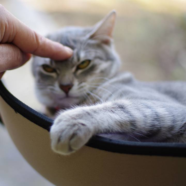 Ddd44454 597e 4284 8552 0c34397ff019