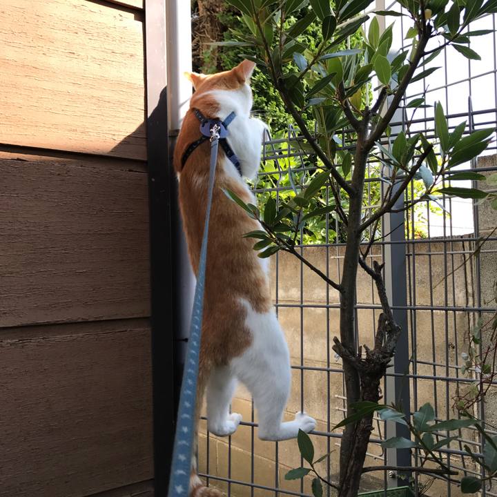 Ddd484c0 e3d2 486b aa9a a902e9ea3315