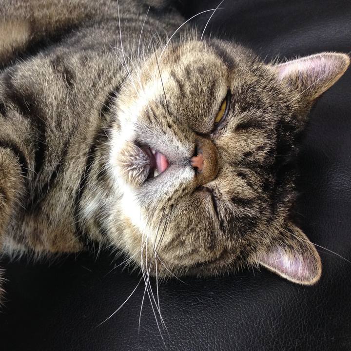 Ddd49089 5dfb 48c9 89e0 aaa06c54aa1d