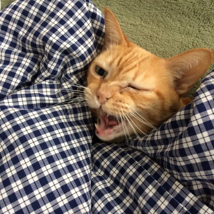 Ddd4c883 d1f8 4264 a046 b8c6a32c8319