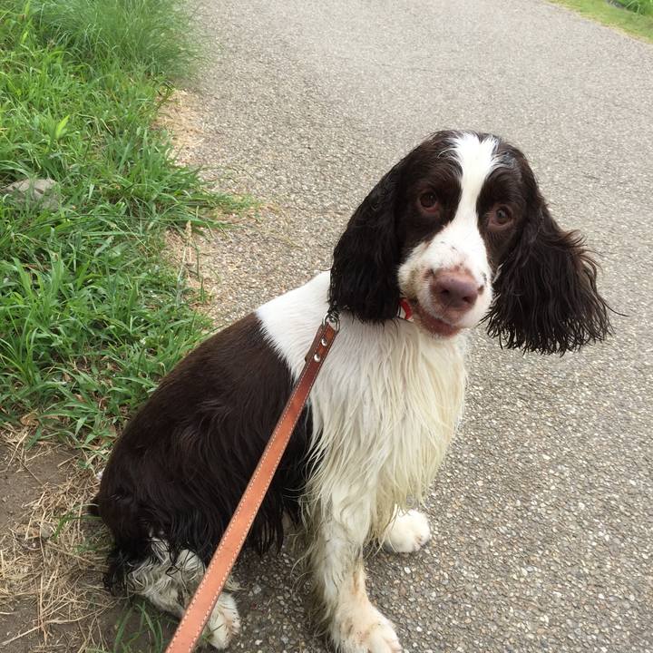 Ddd5c046 f9bd 40f0 9dd5 6e76c4fc8f97