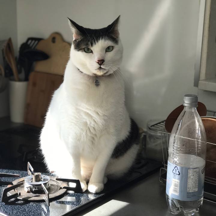 Ddd5dae4 fd2a 4f51 9409 fedcce26fb8d