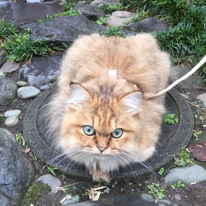 Ddd5eb83 8c90 42a3 a8bb b1d7c3691124