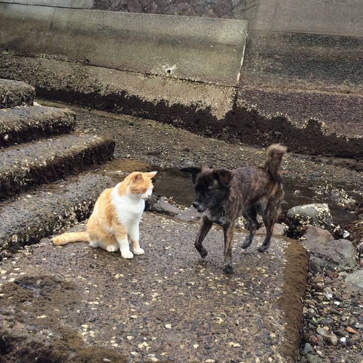 Ddd6aad1 5670 441a abb5 7b5d18ec1311