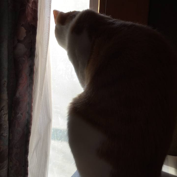 Ddd6f74c 144e 4a78 9beb b6f94ed973f1