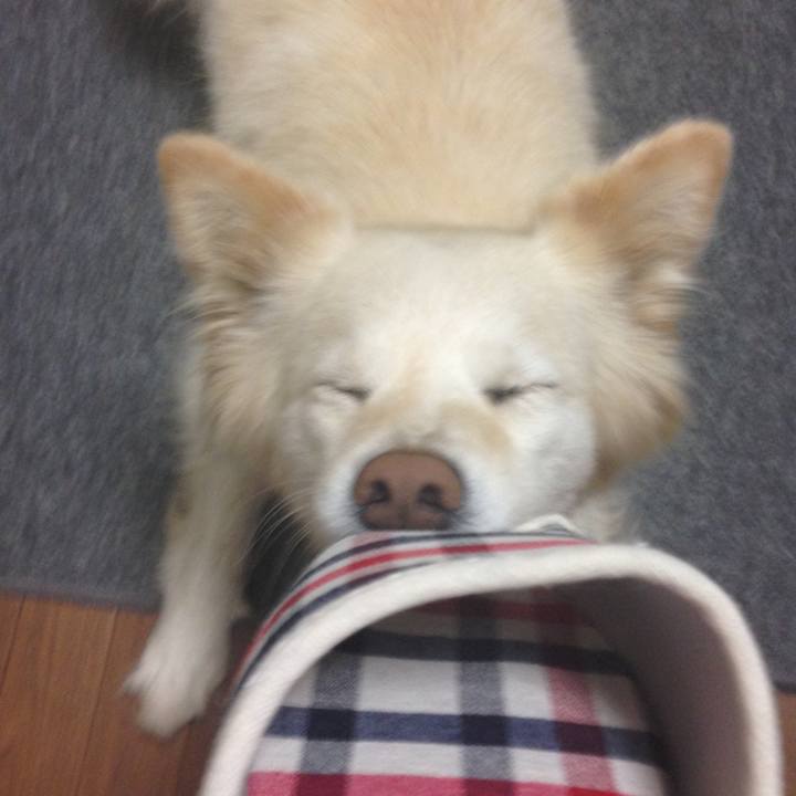 Ddd6fea8 bdde 4261 bdb4 57beab9f4f8f