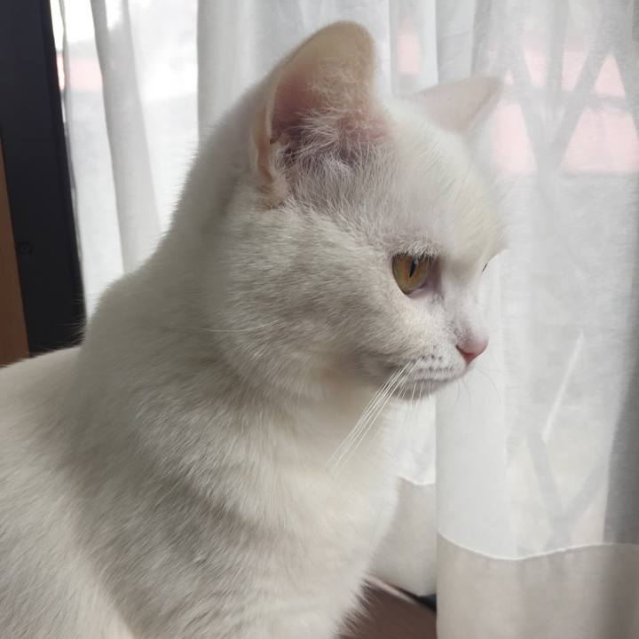 Ddd70d28 f287 43d6 9ed7 f873ba894981