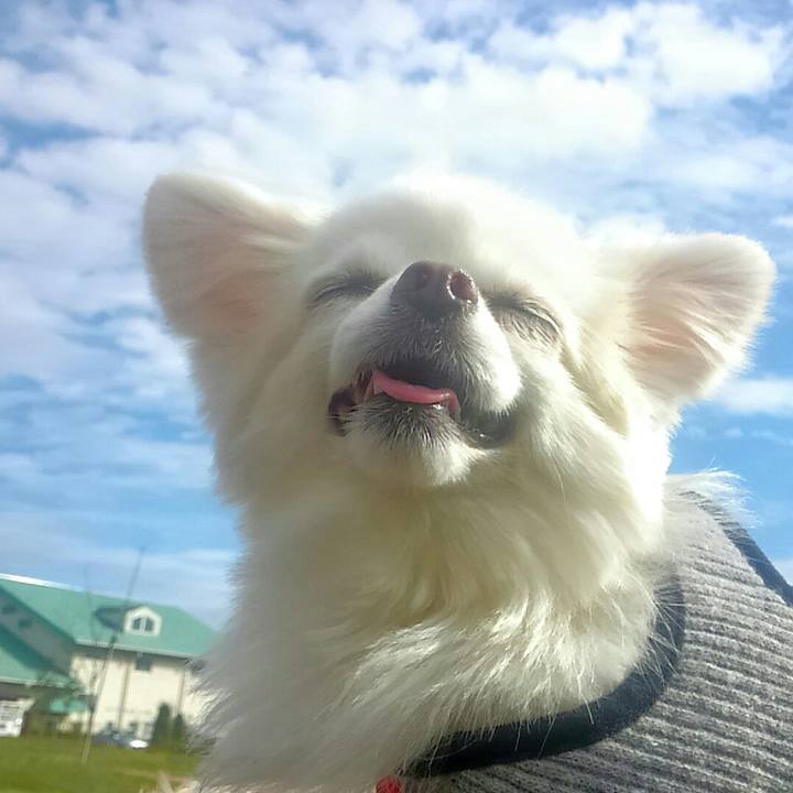 Ddd7455e a164 4bbb 8d08 0798356fc1f8