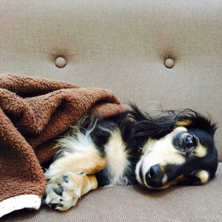 Ddd7f116 0634 46dc b916 8bcc8fef32ce