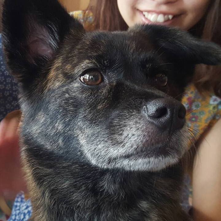 Ddd91c8f 3b14 402c 9472 b9338d96de9a