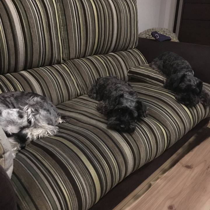 Ddd92e7a 62b7 4c0b b8d9 16164e5952ec