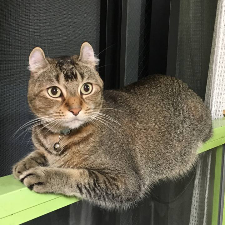 Ddd972e9 4ff1 444d bd6e 2c2f838f39ef