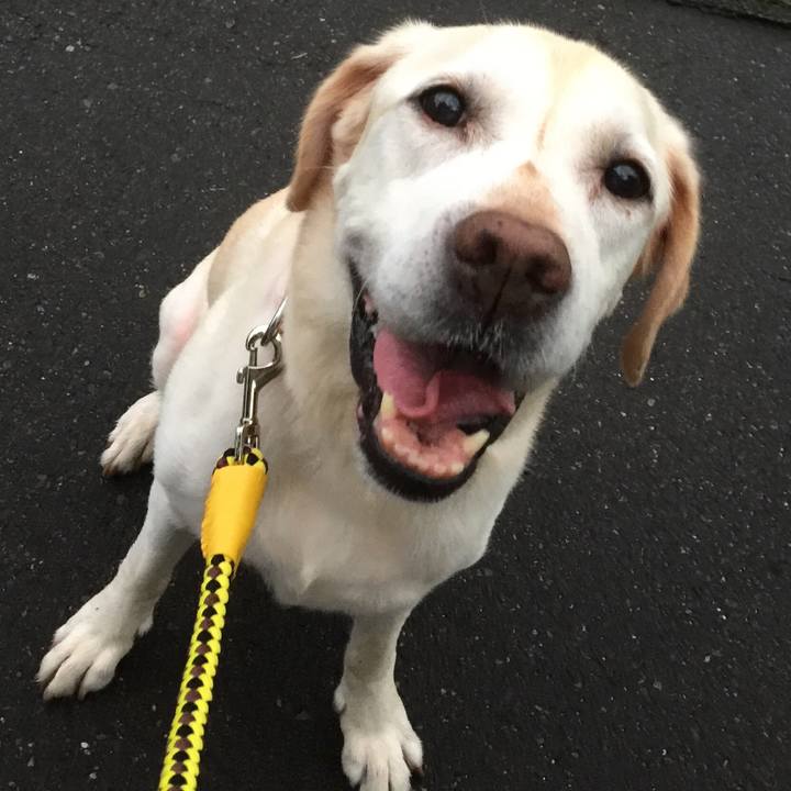 Ddda57ec b24e 4297 8b54 a48ca654792b