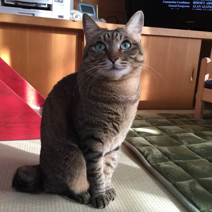 Dddafee2 414a 44ed b760 46a46d1d59e6