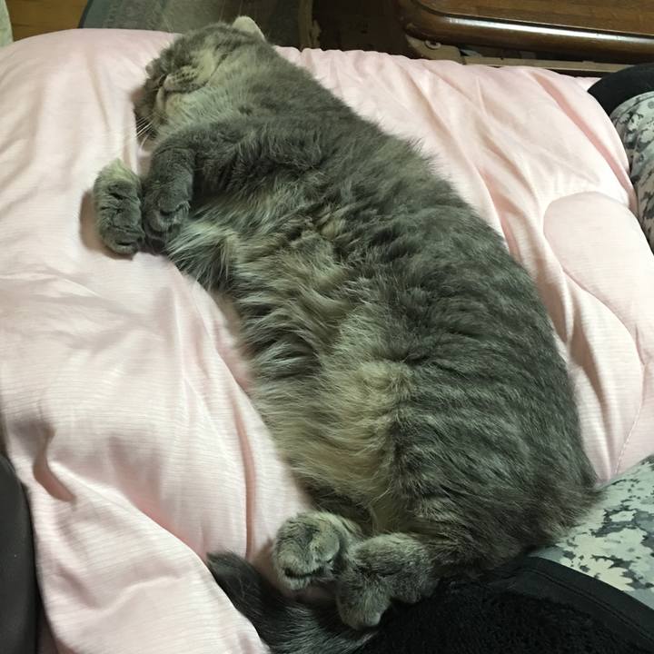 Dddb3cae b732 4908 8abd 6b879163b23b