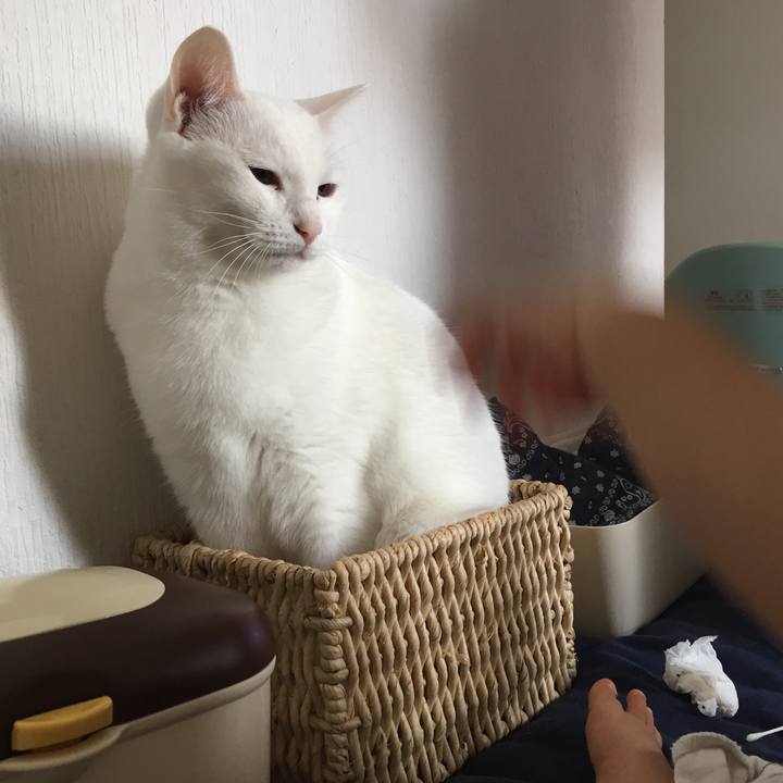 Dddb6ad4 586c 41eb ab18 e0d8b35d2202