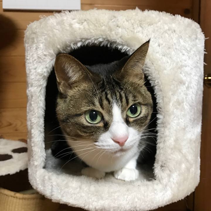 Dddb6fa5 577a 46d6 9699 c9b9ac038d29