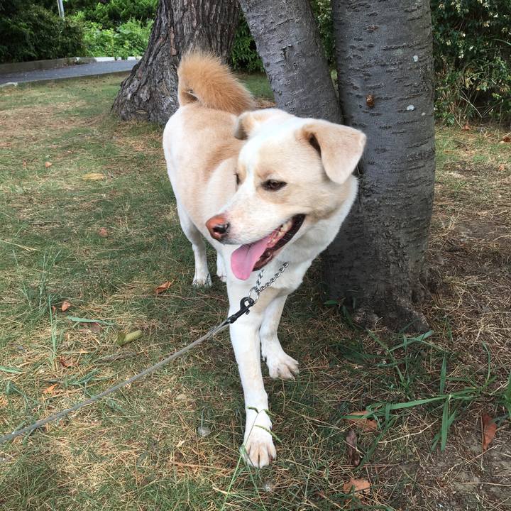 Dddc020e 139e 4ac3 a99f 5faa11da621f