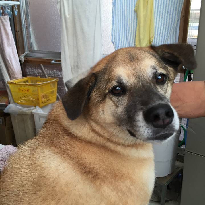 Dddc6da6 f3fa 4995 a434 40c9594f8e48