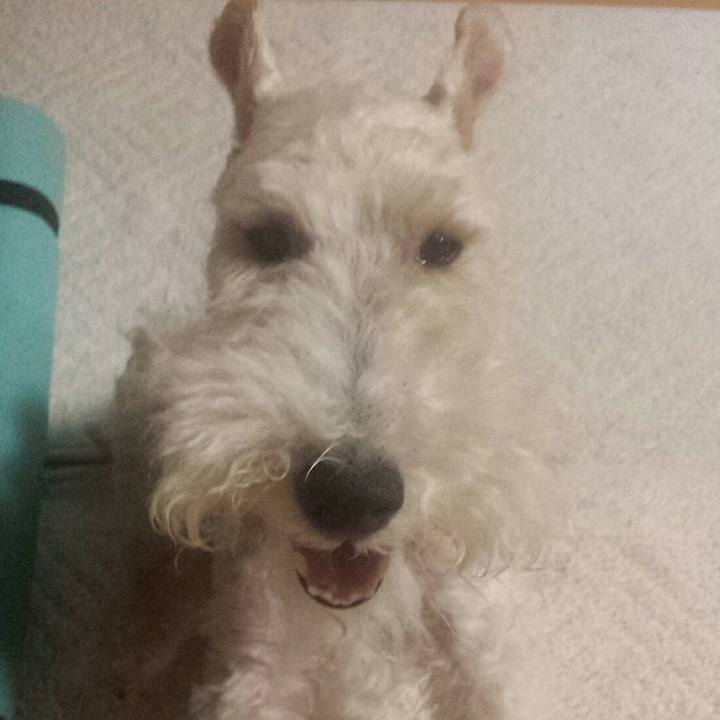 Dddc7b21 01cd 426a b595 be0b0ec9c2b6