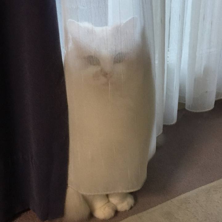 Dddcb802 529a 4c2b 9529 c101a737be86