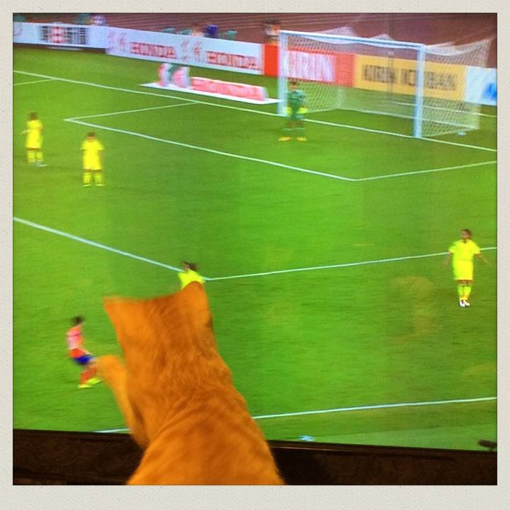 Dddce9c9 d4a7 499e 9b17 f0e12bd40564