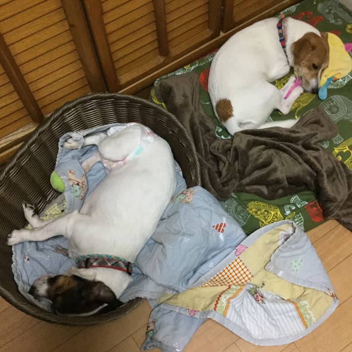 Dddf08e2 a289 4c99 ad2f d100d0e3d721