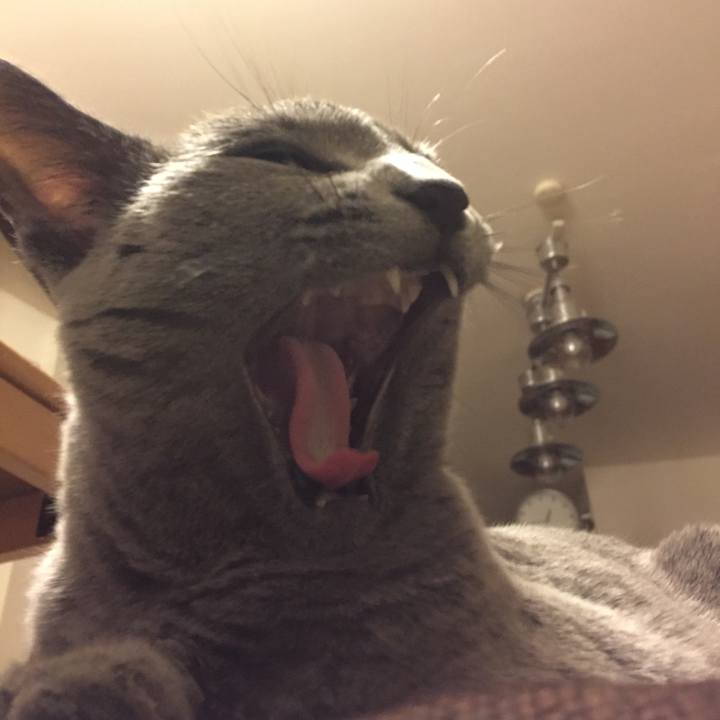 Dddfa756 f46b 474d a623 944d4e89f019