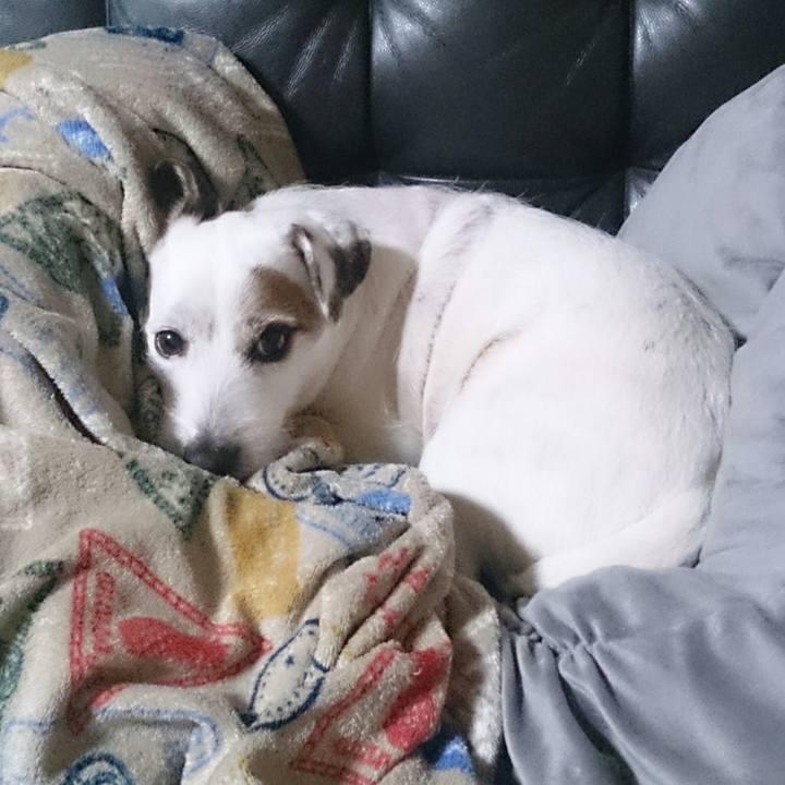 Dddfd563 ed8a 4793 811e 4fc599c72903