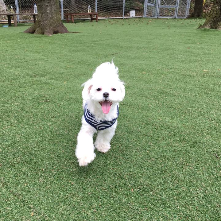 Dde0267e 2faa 49ae b395 14e2daf7f1e8