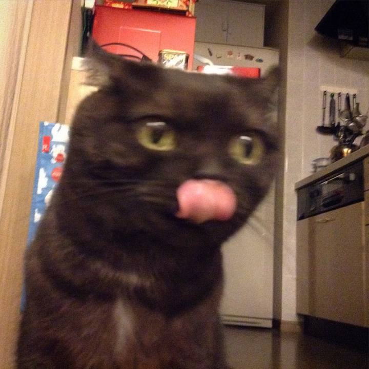 Dde158ce 71ce 4b2e 9900 75b9160a636c