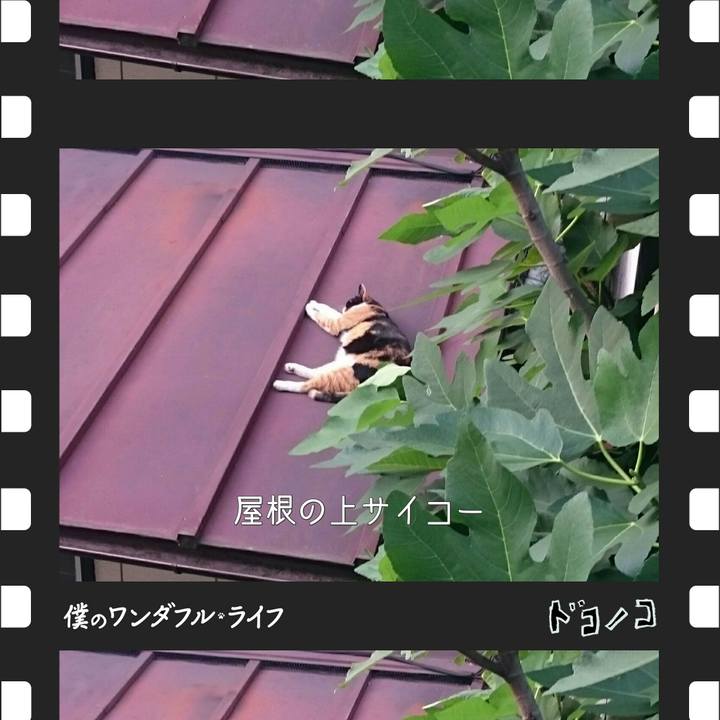 Dde161bb 76be 461b a103 f8aabd7e5a2e