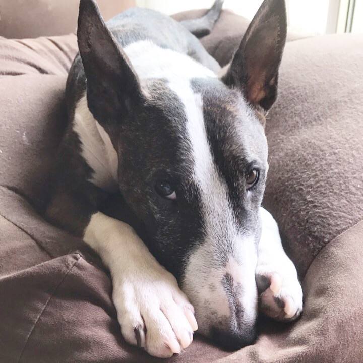 Dde1a8d8 5367 431f 9daf eb7a9079adc7