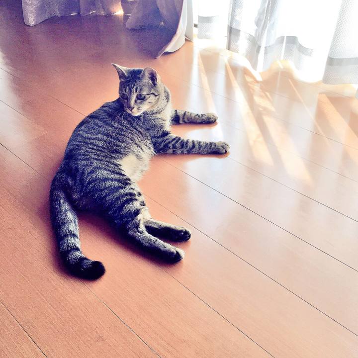 Dde1dbd0 e562 4099 a721 7357652aba63