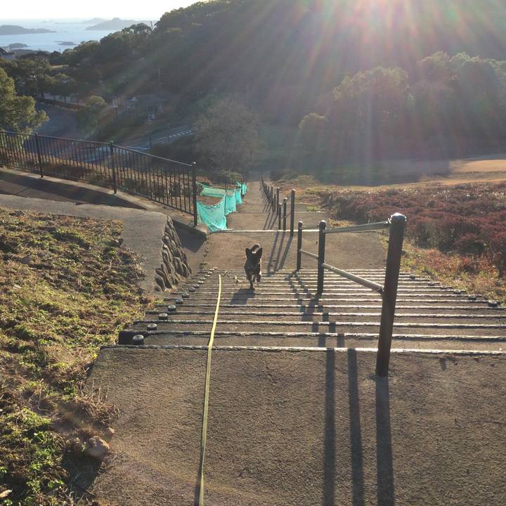 Dde1fb73 a4b1 45c0 9613 8053d900f97e