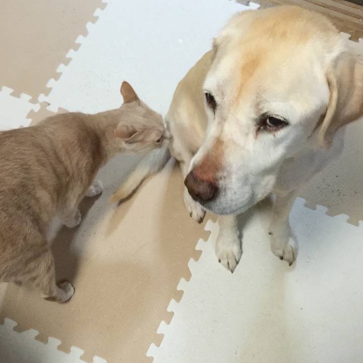 Dde28c62 64e6 4761 8d78 89cbad97e2de